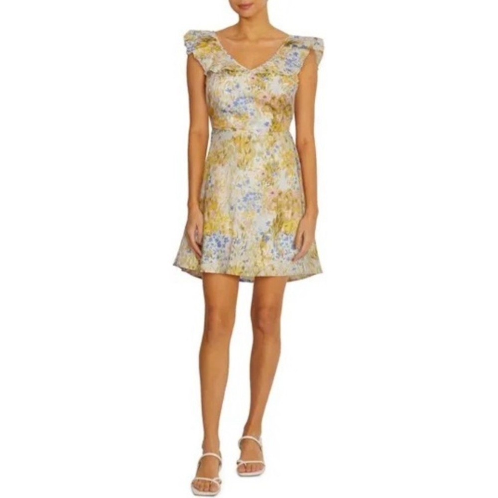 Wildfox Floral Blair Deep V Ruffle Painted Elastic Pastel Mini Dress sz L